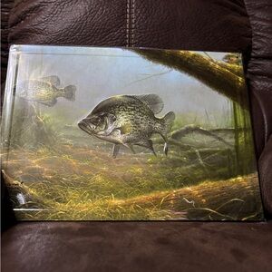 Crappie Fish Tin Metal Picture. New in plastic.